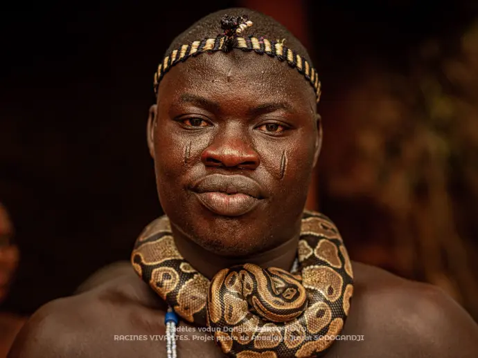 Portrait d'un fidèle DANGBÉ. Dangbé Clounon, Porto-novo, Bénin.  Dangbé (python) est adopté comme divinité par le peuple Xwéda parce qu'il protège les récoltes.